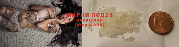 стаф Зерноград
