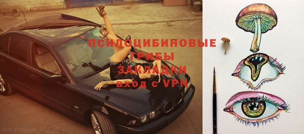 стаф Зерноград