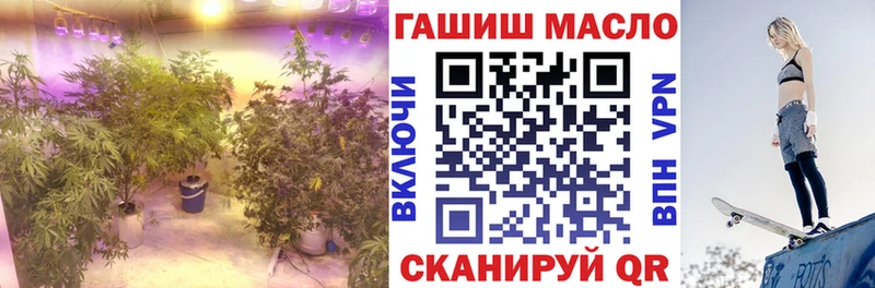 Дистиллят ТГК THC oil Княгинино